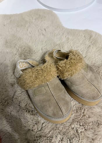 Ugg Ev Terligi