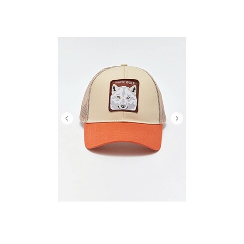 LC Waikiki Unisex şapka
