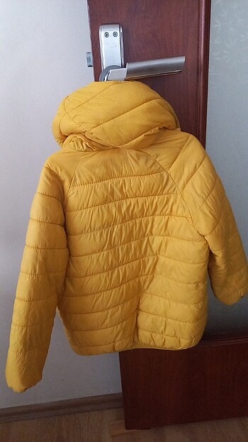 Zara Mont.