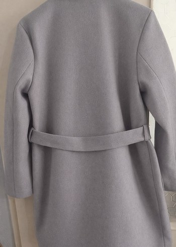 Gri Kuşaklı Kaban - Görsel 2