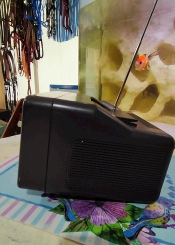 Antika mini Radyo ,Tv - Görsel 6
