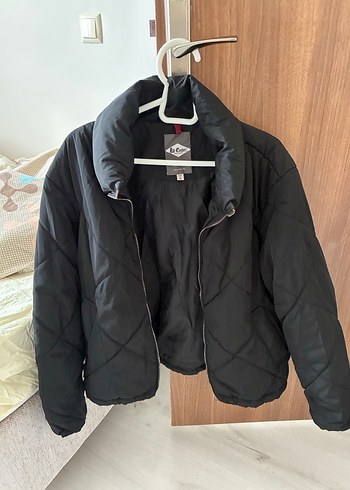 Dik Yaka Siyah Fermuarlı Kadın Mont