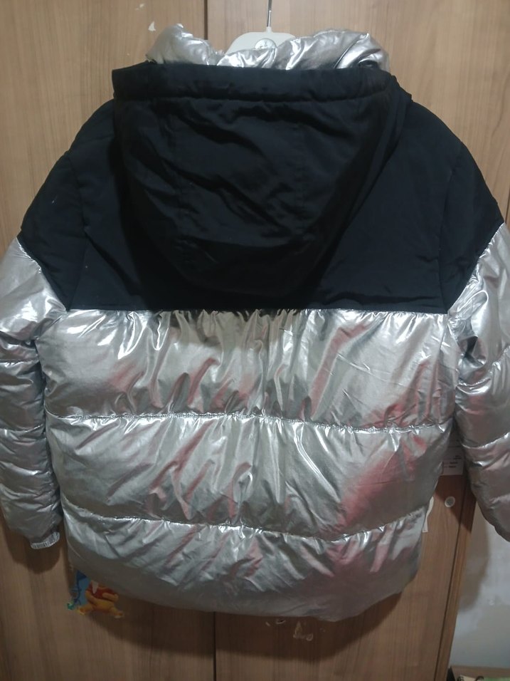 Gri Metalik Fermuarlı Kadın Kışlık Mont - Görsel 2