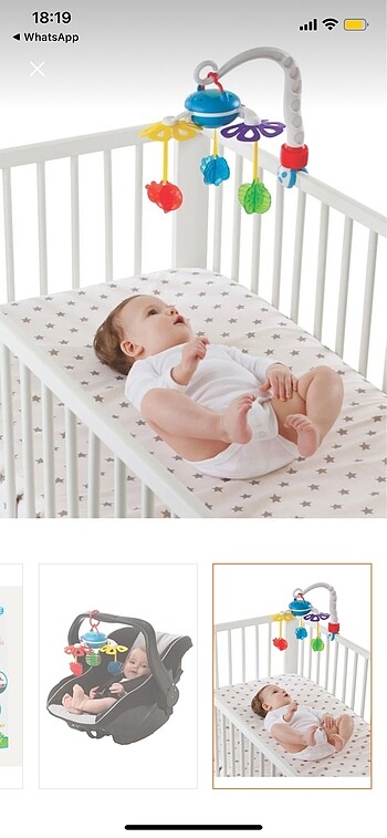 Beden Renk PLAYGRO müzikli Bahçe Dönence