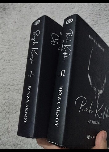 Beden Renk Beyza Aksoy 2 kitap
