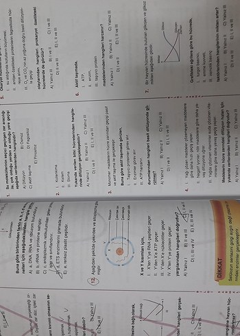 Bilgi Sarmal TYT-AYT Biyoloji Soru Bankası - Görsel 3