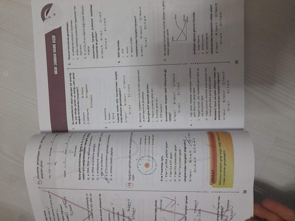 Bilgi Sarmal TYT-AYT Biyoloji Soru Bankası - Görsel 3