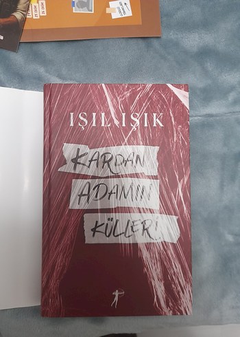 Kardan Adamın Külleri - Işıl Işık - Görsel 6