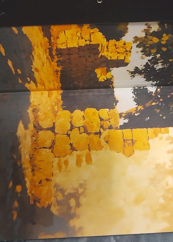 Hümeyra - Mir Serisi Roman Seti - Görsel 6