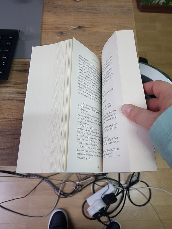 Anna Karenina - L.N. Tolstoy - Görsel 4