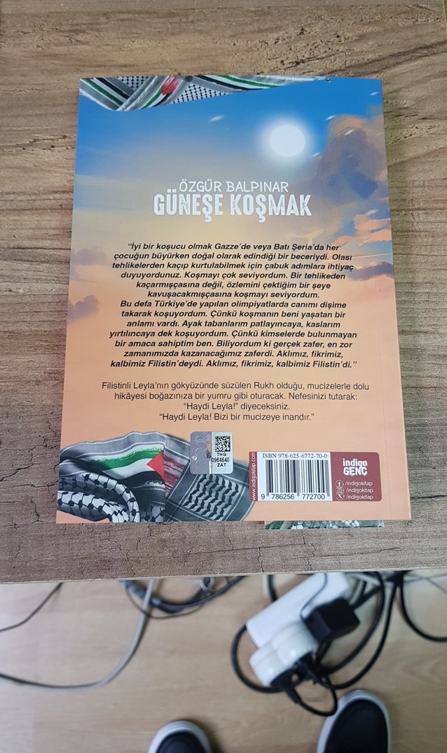 Güneşe Koşmak - Özgür Balpınar - Görsel 2