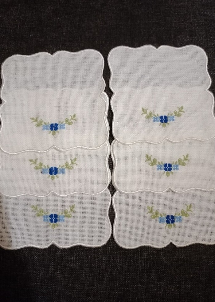 Şunun peçetesi - Görsel 2