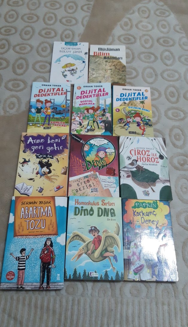 Abartma Tozu - Sermin Yaşar Çocuk Kitabı - Görsel 3