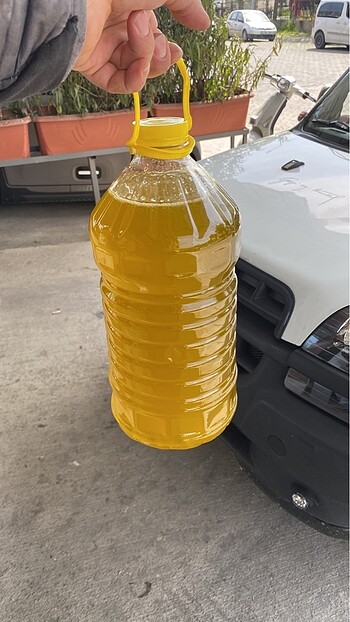 natural sızma zeytin yağı