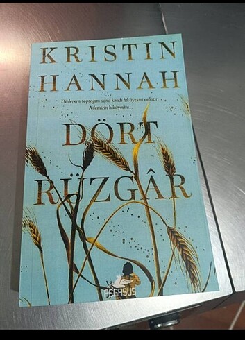 Kristin Hannah son kitap 
