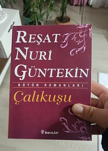 Çalıkuşu +pal sokağı çocukları 