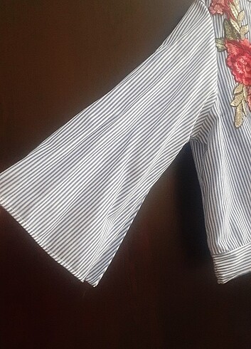 H&M Mango crop