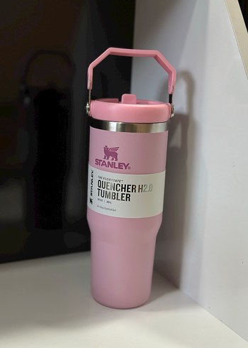 Stanley Pastel Renkli Quencher H2O Termos - Görsel 6