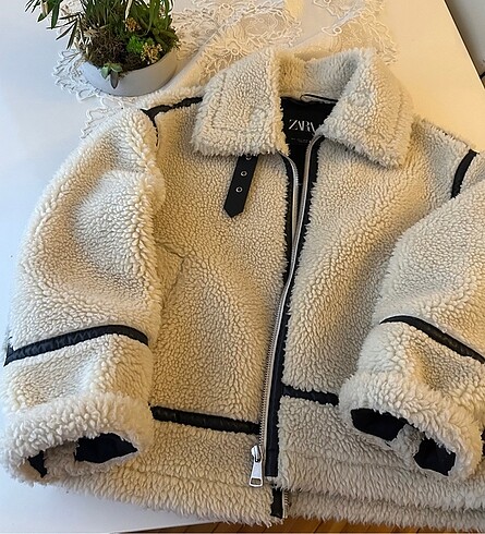 Zara Zara peluş mont