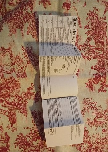 Kedili Pembe Hesap Makinesi Studi Pati - Görsel 2