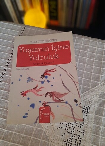 Yaşamın İçine Yolculuk, Yusuf Çotuksöken