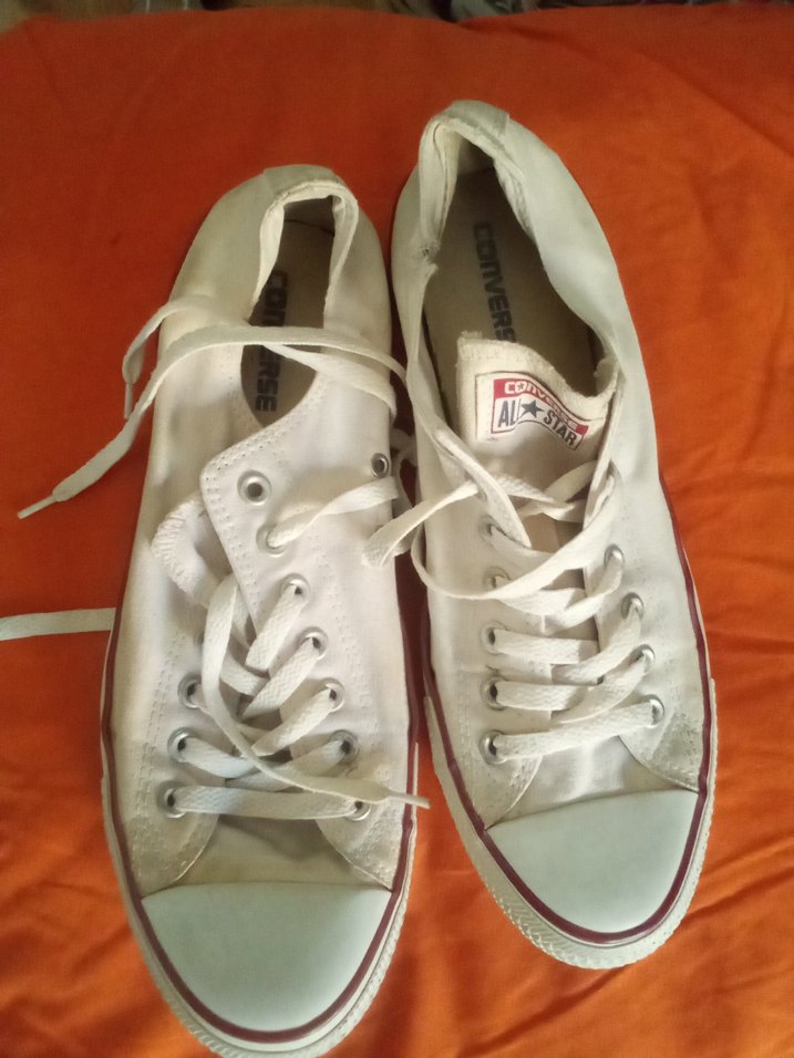 Convers allstar Beyaz Bağcıklı Kadın Spor Ayakkabı - Görsel 2