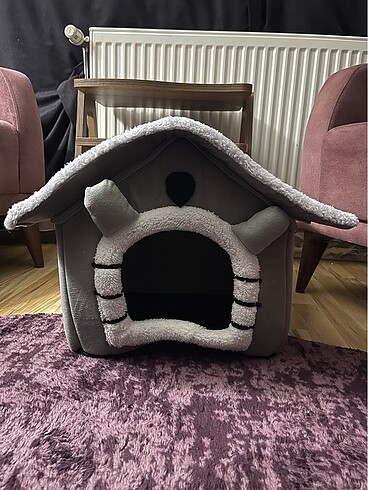 Kedi evi