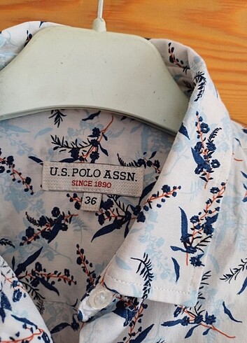 36 Beden Bayan polo gömlek