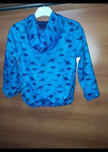 Kapüşonlu Mavi Dinozor Desenli Erkek Yağmurluk - Görsel 2