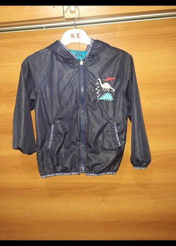 Kapüşonlu Mavi Dinozor Desenli Erkek Yağmurluk - Görsel 3