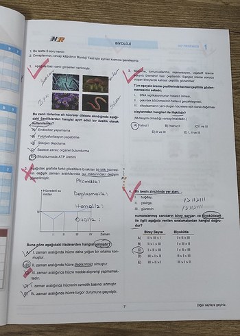 Hız ve Renk Yayınları 40x6 TYT Biyoloji Denemeleri Kitabı