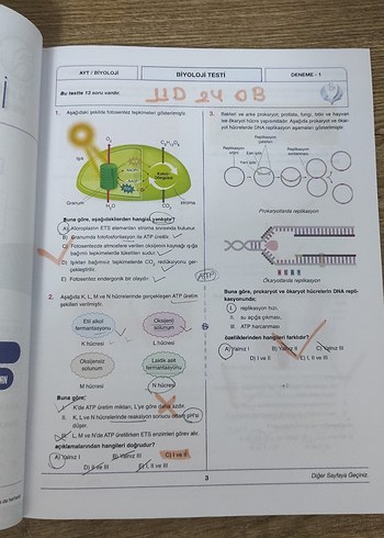 Bilgi Sarmal AYT Biyoloji Branş Denemeleri 25x13