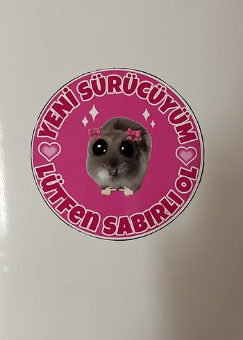 Yeni Sürücü Stickerı - Pembe Gri