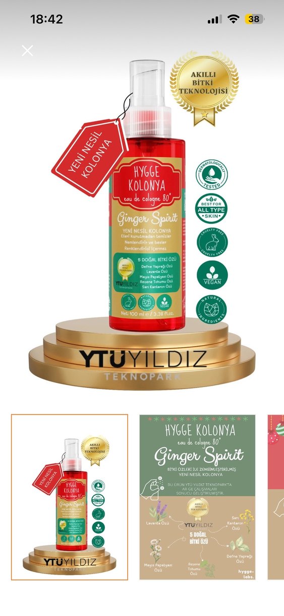 Hygge Kolonya Ginger Spirit 100 ml - Görsel 2