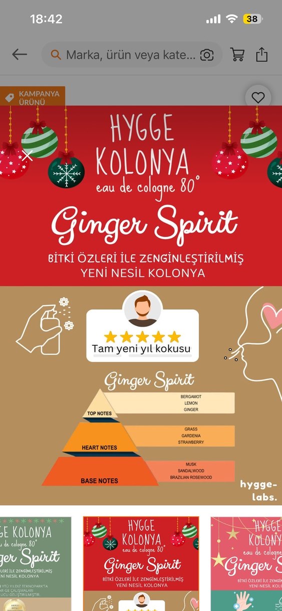 Hygge Kolonya Ginger Spirit 100 ml - Görsel 4