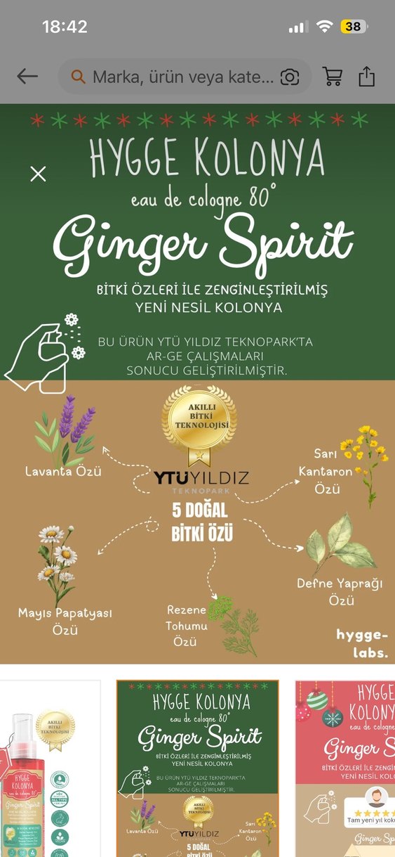 Hygge Kolonya Ginger Spirit 100 ml - Görsel 3