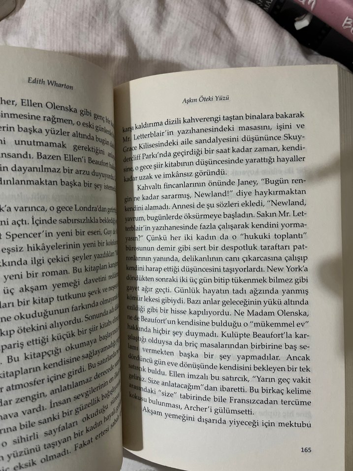 Aşkın Öteki Yüzü - Edith Wharton - Görsel 3