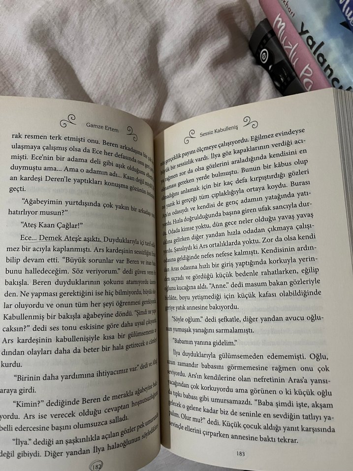 Sessiz Kabullenis - Gamze Ertem - Görsel 3