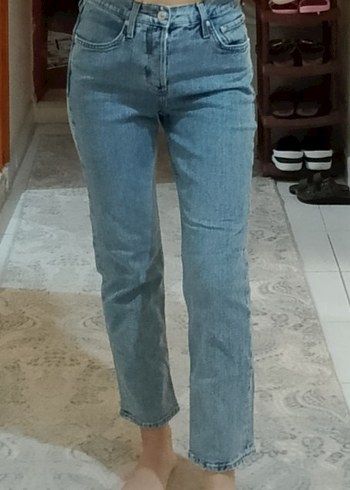 Mango ürünü