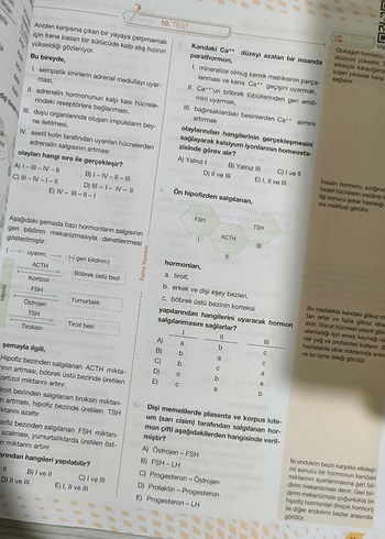 Beden AYT Biyoloji Soru Kitabı palme