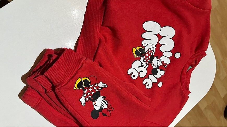 Walt Disney World Mickey tamım