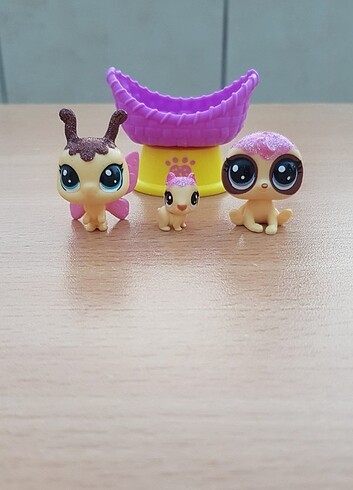  Beden Renk Lps miniş