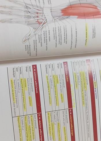  Beden Her Yönüyle Anatomi - Prof. Dr. Yasin Arifoğlu