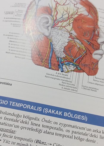  Beden Renk Her Yönüyle Anatomi - Prof. Dr. Yasin Arifoğlu