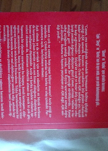 parcalanan ruhlar - Görsel 2