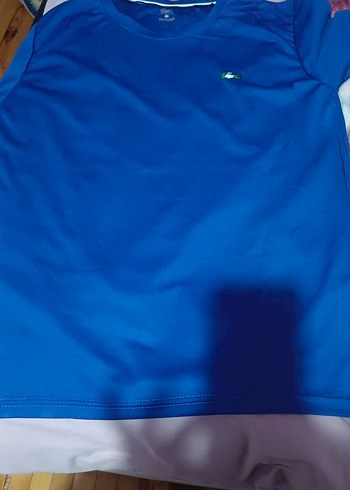 Lacoste xxl