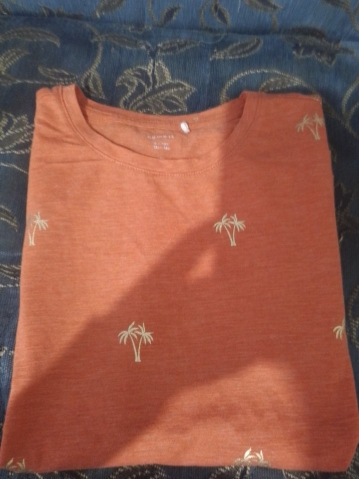 Name İt Palmiye Baskılı T-shirt - Görsel 5