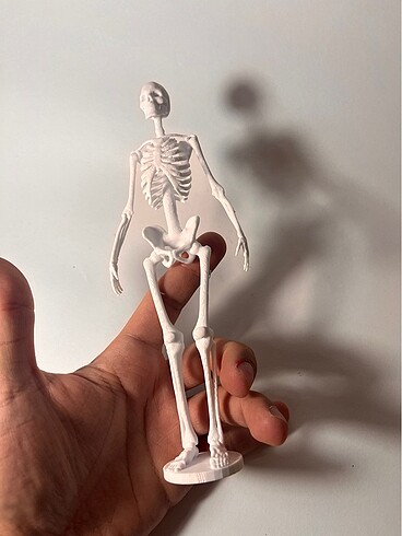 Diğer 3d baskı iskelet