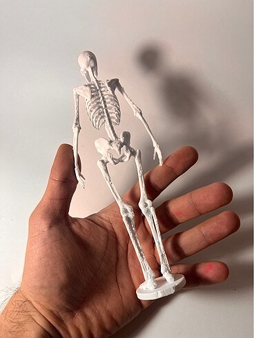 Beden 3d baskı iskelet