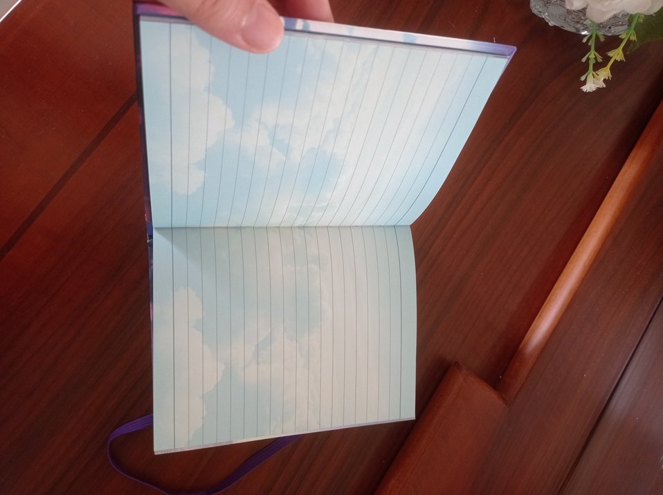 PAPERCHASE JOURNAL GÜNLÜK - Görsel 4